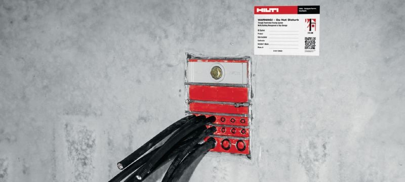 CFS-T cable module Modules to seal cables/pipes within a transit frame when high water- and gas-tightness and fire-resistance are required Applications 1